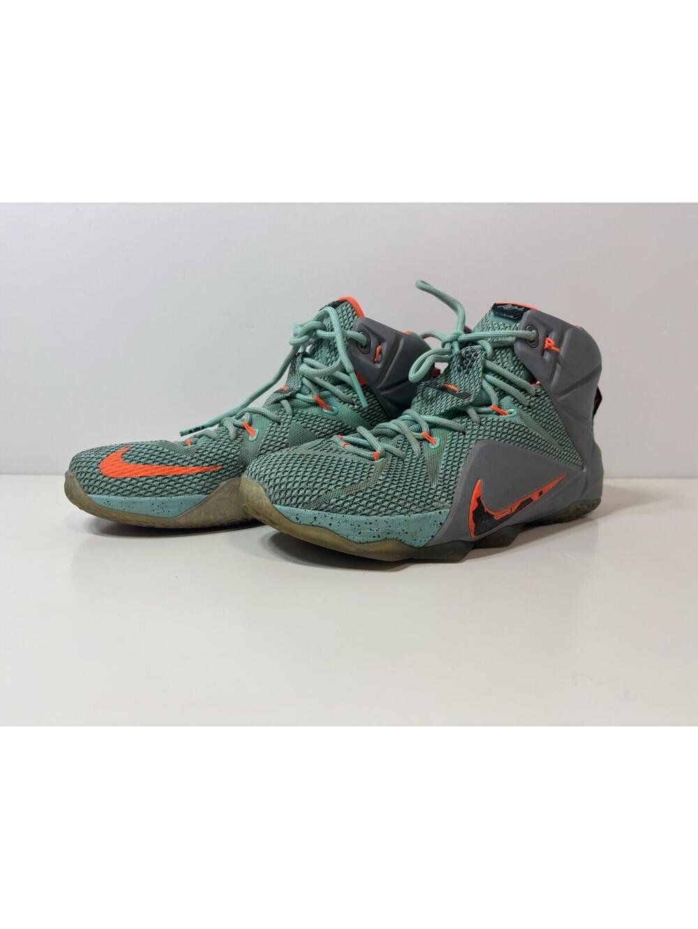 Size 10.5 - Nike LeBron 12 NSRL - 684593-301